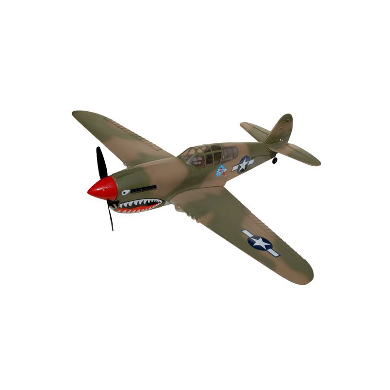 Entwurf elektrischer Flugzeug P-40 Warhawk EP ARF | Scientific-MHD