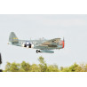 Radio-kontrolliertes Wärmeflugzeug P-47 Thunderbolt 60ccm Arf Gas | Scientific-MHD