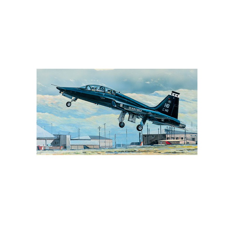 Plastikflugzeugmodell T-38A Talon | Scientific-MHD