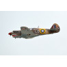 Radio-kontrollierte Thermalflugzeuge P-40C Tomahawk 60cc ARF | Scientific-MHD