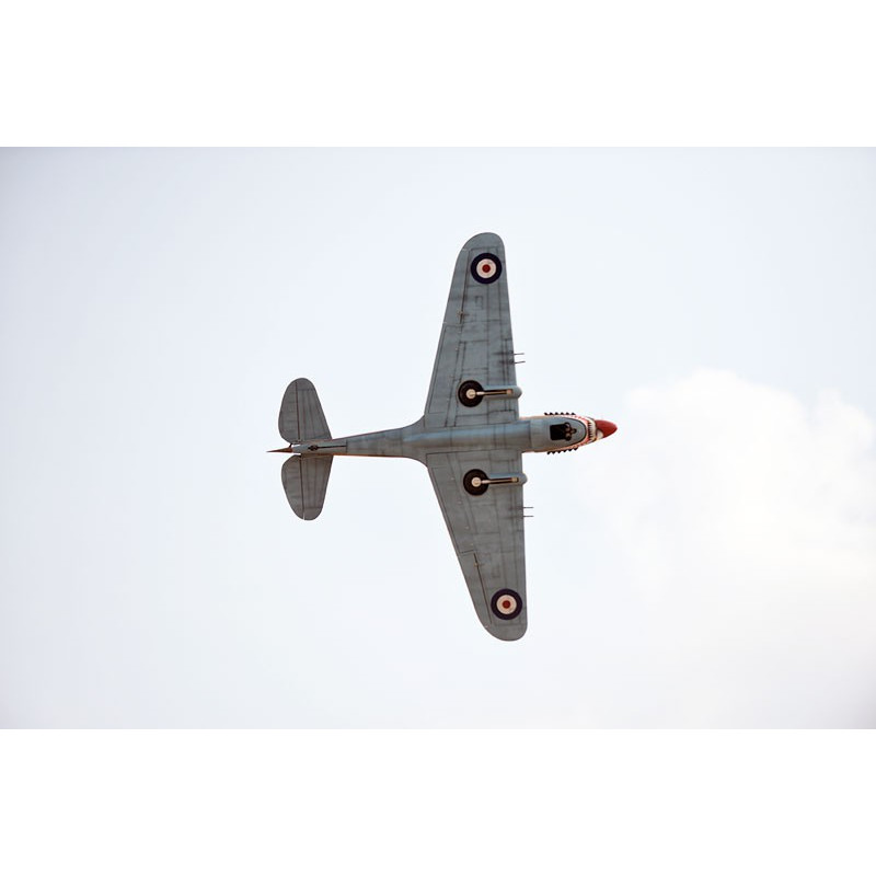 Radio-kontrollierte Thermalflugzeuge P-40C Tomahawk 60cc ARF | Scientific-MHD