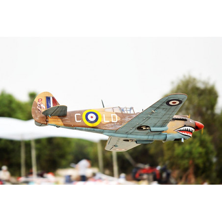 Radio-kontrollierte Thermalflugzeuge P-40C Tomahawk 60cc ARF | Scientific-MHD