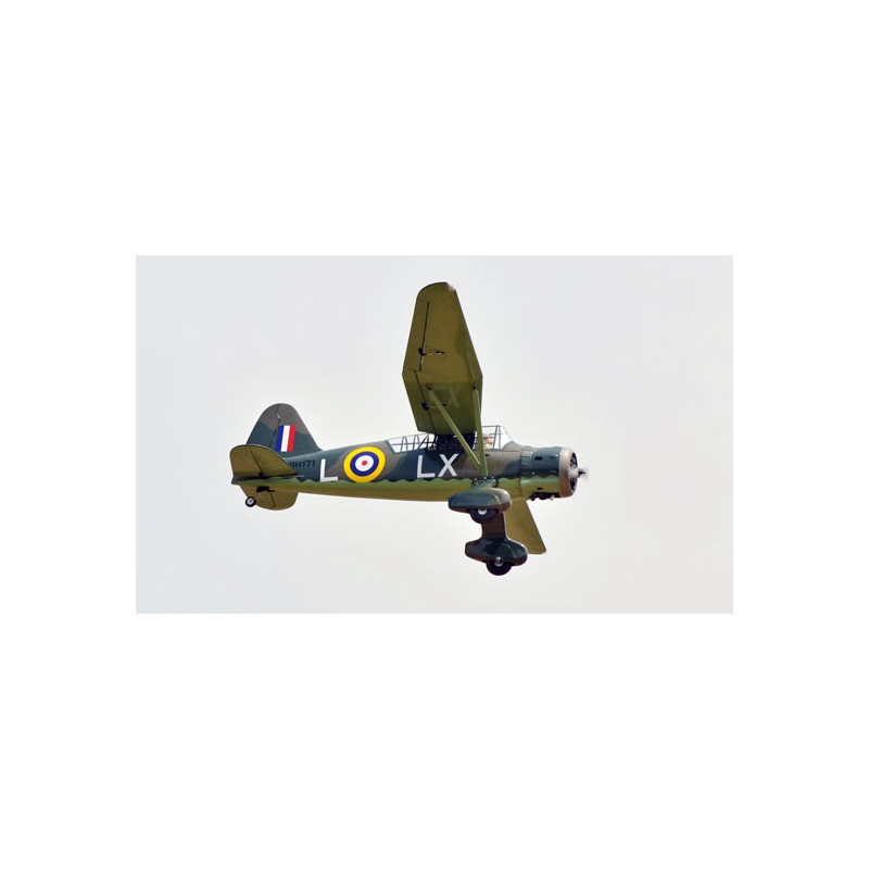 Westland Lysander 33CC ARF Radio -kontrollierte Wärmeflugzeuge | Scientific-MHD