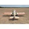 Gilmore 60cc GP-EP ARF-Radio-kontrollierte thermische Flugzeugflugzeug | Scientific-MHD