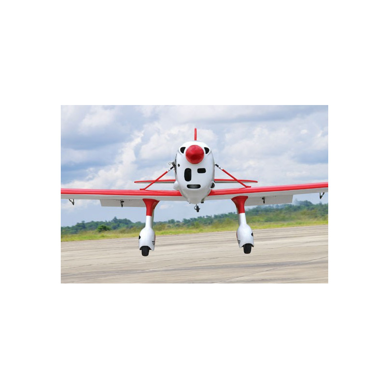 Ryan 5555-61 GP ARF V2 Radio-kontrolliertes thermisches Flugzeug | Scientific-MHD