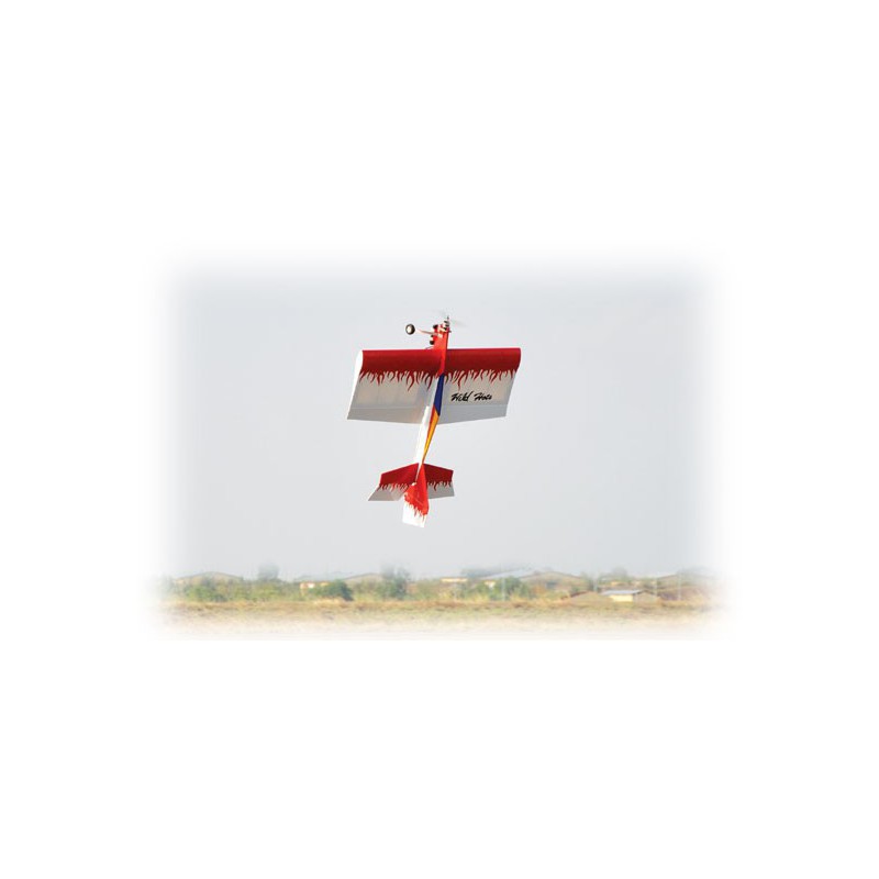 Wild Hots EP ARF Radio -kontrollierte elektrische Ebenen | Scientific-MHD