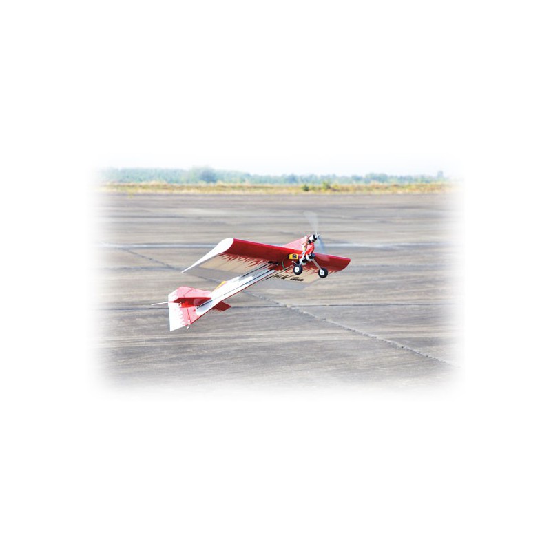 Wild Hots EP ARF Radio -kontrollierte elektrische Ebenen | Scientific-MHD