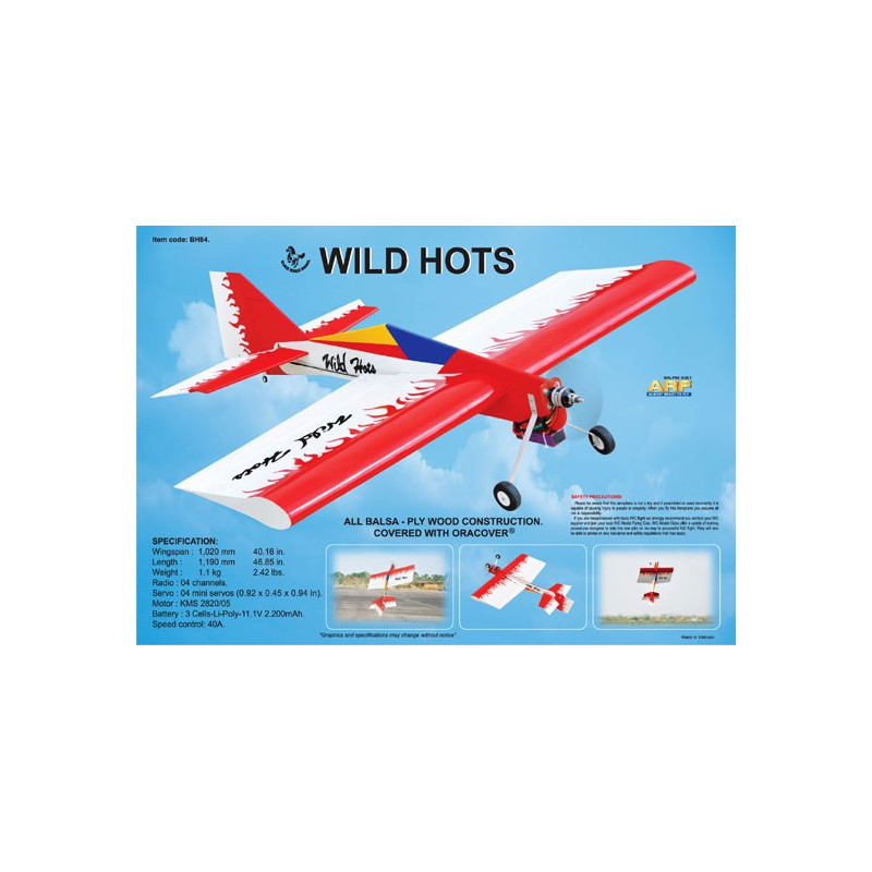 Wild Hots EP ARF Radio -kontrollierte elektrische Ebenen | Scientific-MHD