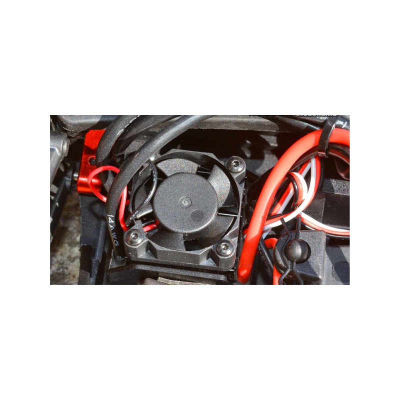 Radio -kontrolliertes Elektroauto Zombie Bl Rtr 1/10 | Scientific-MHD