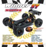 Truggy -Gewinner RTR 1/10 Radio -kontrolliertes Elektroauto | Scientific-MHD