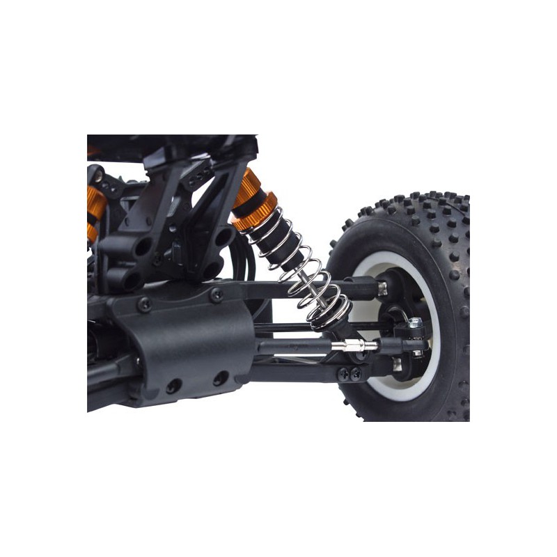 Buggy -Gewinner BL RTR 1/10 | Scientific-MHD