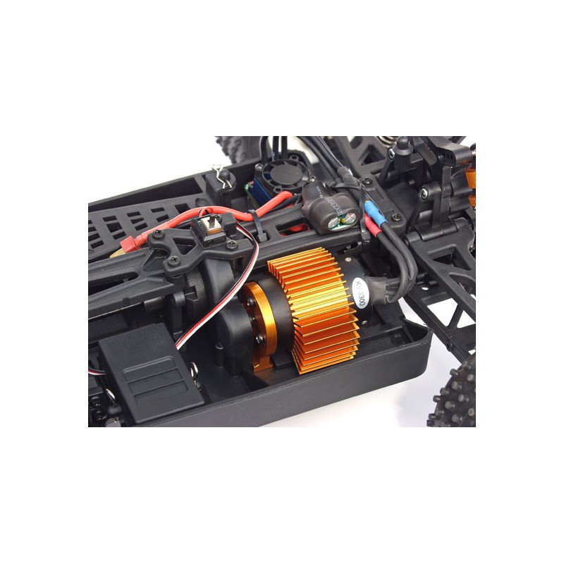 Buggy -Gewinner BL RTR 1/10 | Scientific-MHD