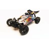 Buggy GP Blue RTR1/10 | Scientific-MHD