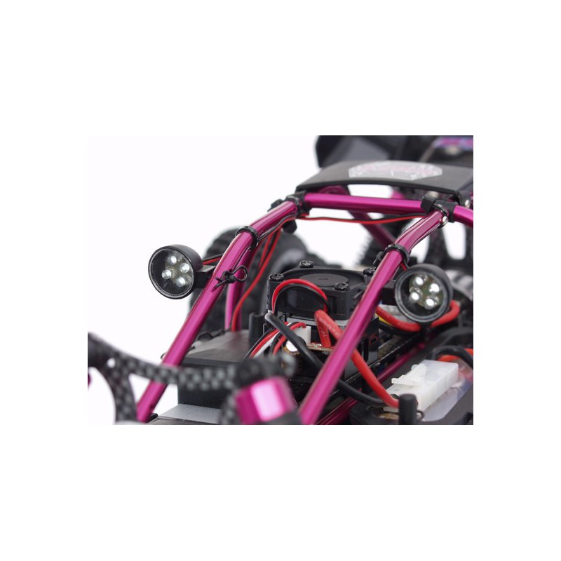Atom Roller Cage 1/10 | Scientific-MHD