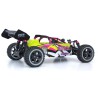Atom Roller Cage 1/10 | Scientific-MHD