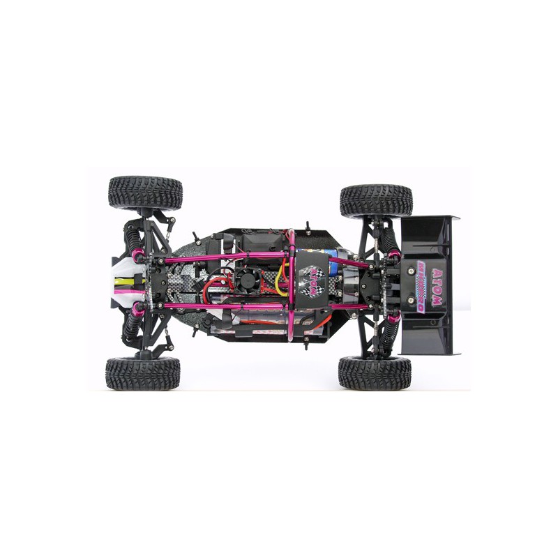 Atom Roller Cage 1/10 | Scientific-MHD