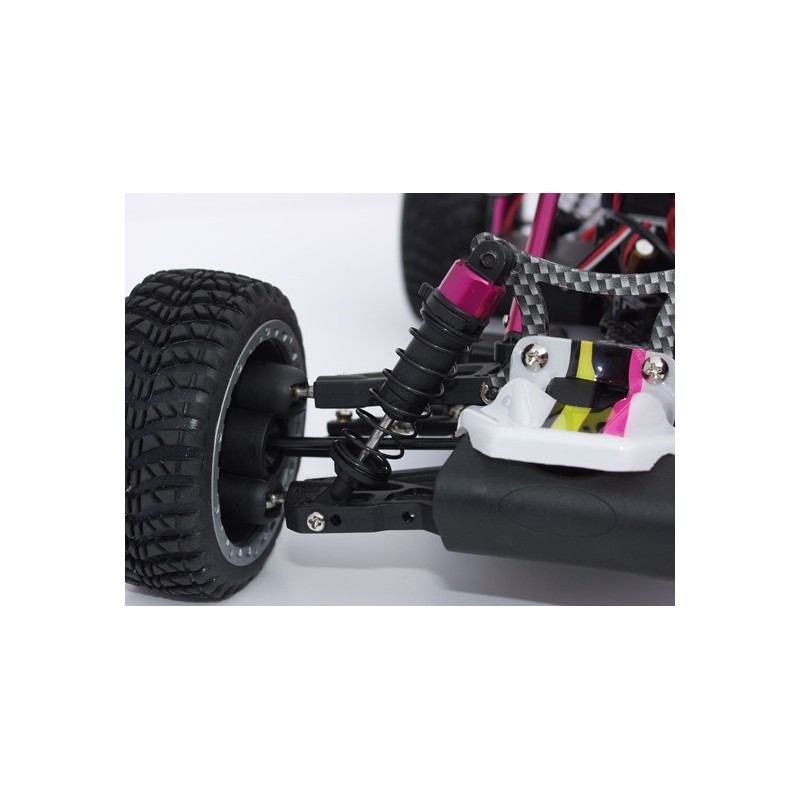 Atom Roller Cage BL 1/10 | Scientific-MHD