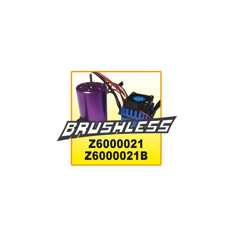 Moab bürstenloser V2 1/10 Radio -kontrolliertes Elektroauto | Scientific-MHD