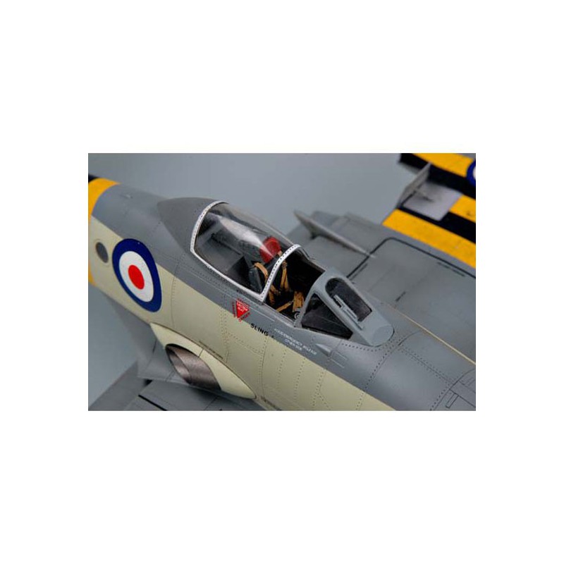 Wyvern S.4 Plastikflugzeugmodell | Scientific-MHD