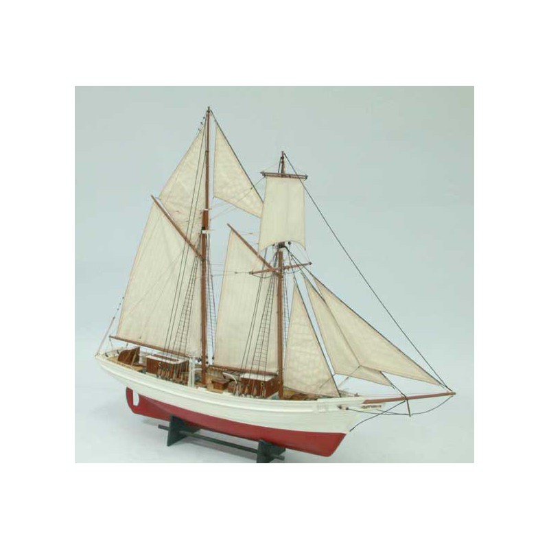 Statisches Boot l etoile Musee | Scientific-MHD