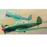 YAK-18 Max Plastikflugzeugmodell | Scientific-MHD YAK-18 Max Plastikflugzeugmodell | Scientific-MHD