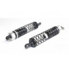 Teil für Elektroauto alle Pfad 1/10 Heck -Stoßdämpfer (2 PCs) | Scientific-MHD