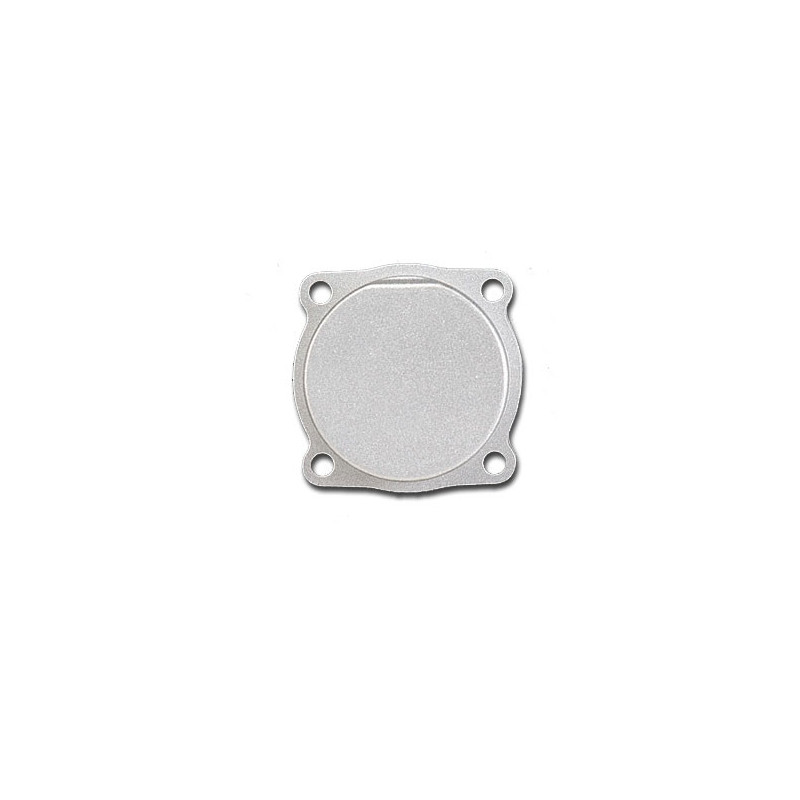 Teil für den thermischen Motor Carter 20FP -Stecker, 25fp | Scientific-MHD