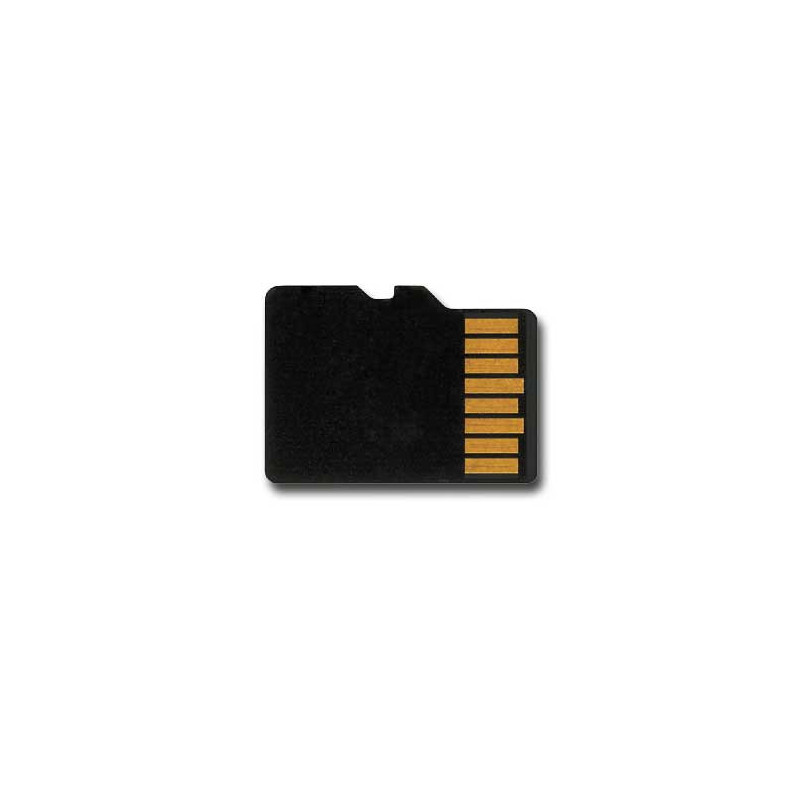 Teil für den Wärmeauto All Path 1/10 Micro SD 4GB -Karte | Scientific-MHD