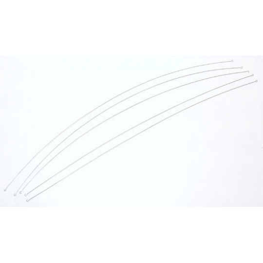 Karibische RC -Boote RC | Scientific-MHD