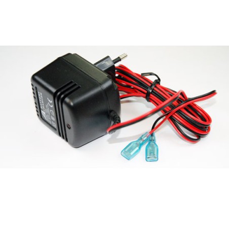 Ladegerät wegen Anschuldigungen wegen Radiocomanded Device 2V Ladegerät - 500 mAh gegen Cyclon | Scientific-MHD Ladegerät wegen Anschuldigungen wegen Radiocomanded Device 2V Ladegerät - 500 mAh gegen Cyclon | Scientific-MHD