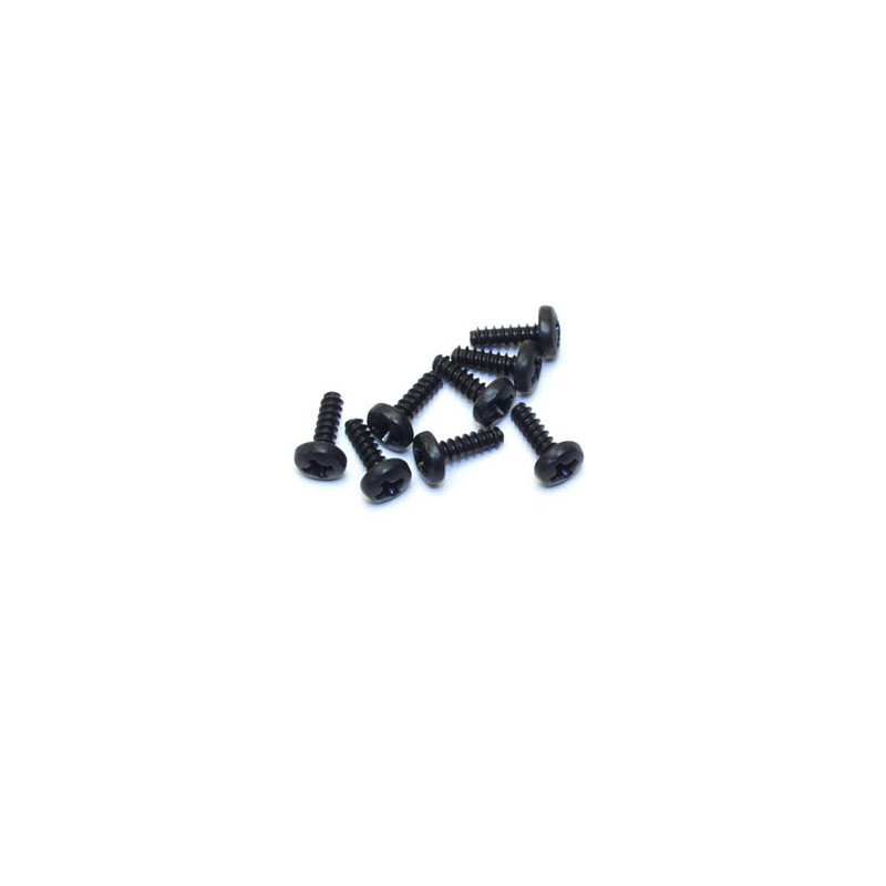 Elektroauto Raum alle Pfad 1/10 Kansas Flachkopfschraube 2,5 x 8 mm | Scientific-MHD