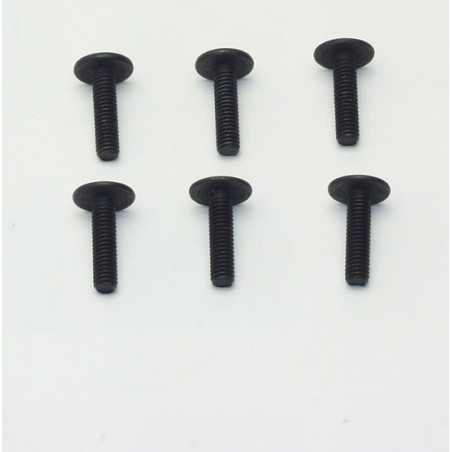 Elektroauto Raum alle Pfad 1/10 Kansas Flachkopfschraube M4x16mm | Scientific-MHD