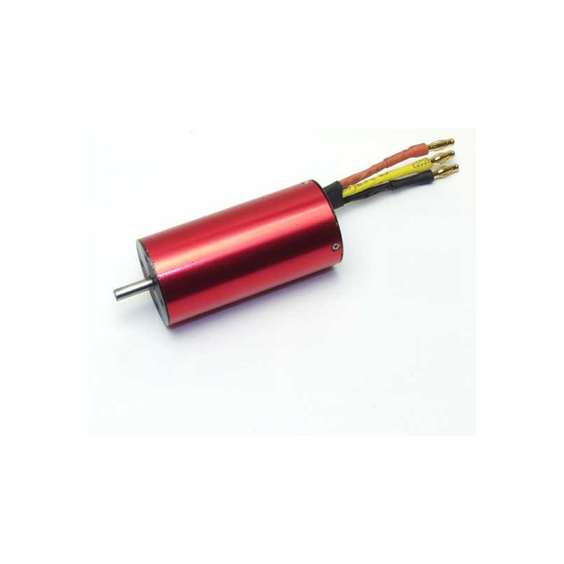 Teil für Elektroauto 1/8 BL 1900 KV Motor | Scientific-MHD