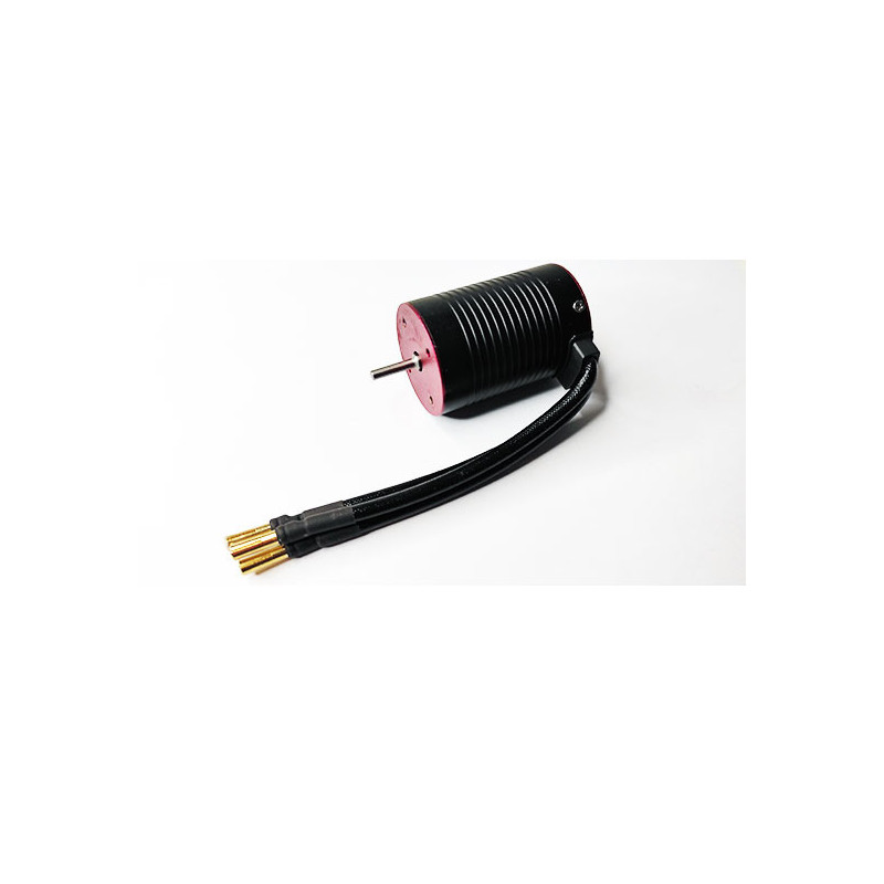 Teil für Elektroauto All Path 1/10 bürstenloser Motor 2500kV | Scientific-MHD