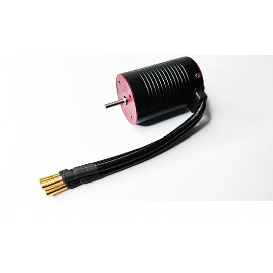 Teil für Elektroauto All Path 1/10 bürstenloser Motor 2500kV | Scientific-MHD