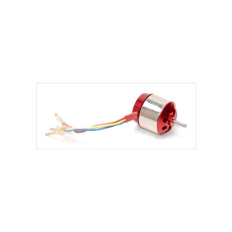 Teil für Flugzeuge P-40 bürstenloser Motor | Scientific-MHD