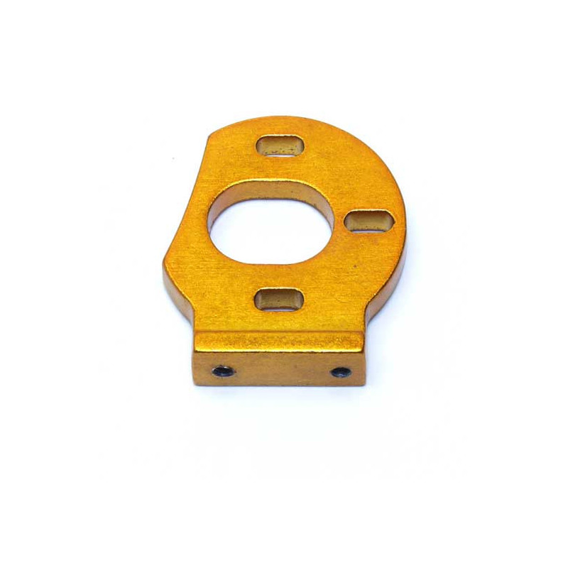 Teil für Elektroauto All Path 1/10 Gewinnermotorenunterstützung | Scientific-MHD