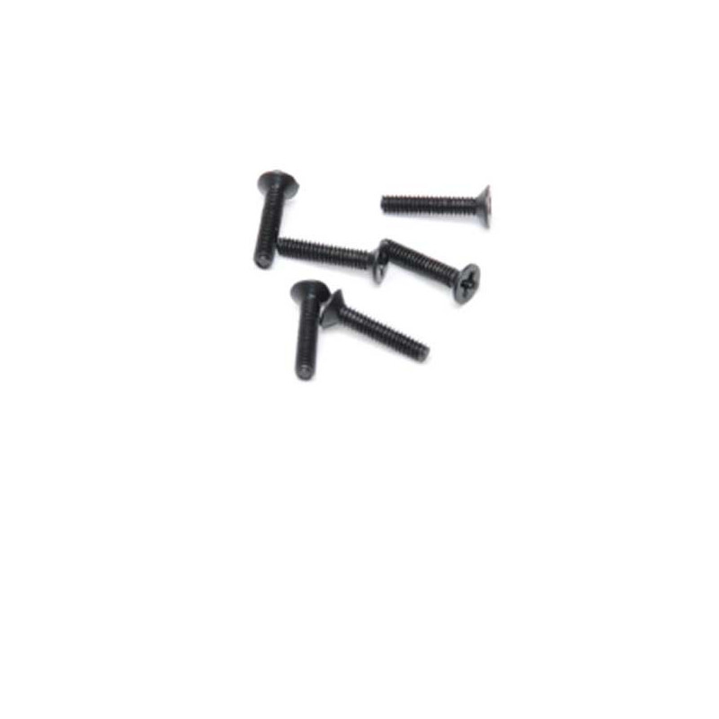 Stück für elektrische Buggy 1/18 Texas M2X10 Straiseworthy Sonders (6PCs) | Scientific-MHD