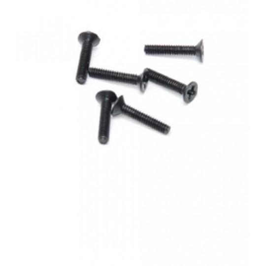 Stück für elektrische Buggy 1/18 Texas M2X10 Straiseworthy Sonders (6PCs) | Scientific-MHD
