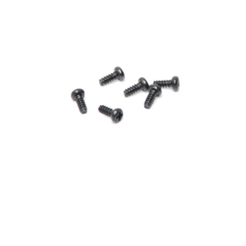 Stück für elektrischen Buggy 1/18 Texas Roundschraube M2X4 (6PCS) | Scientific-MHD