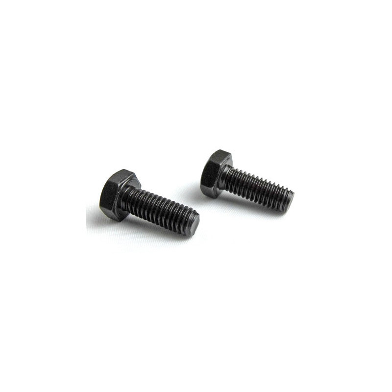 Teil für das Wärmeauto alle Pfad 1/5 Schraube M6*16 (2p) | Scientific-MHD