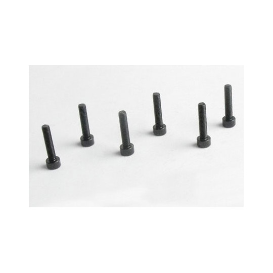 Teil für Elektroauto alle Pfad 1/10 Schraube BTR M3*14 6pcs | Scientific-MHD