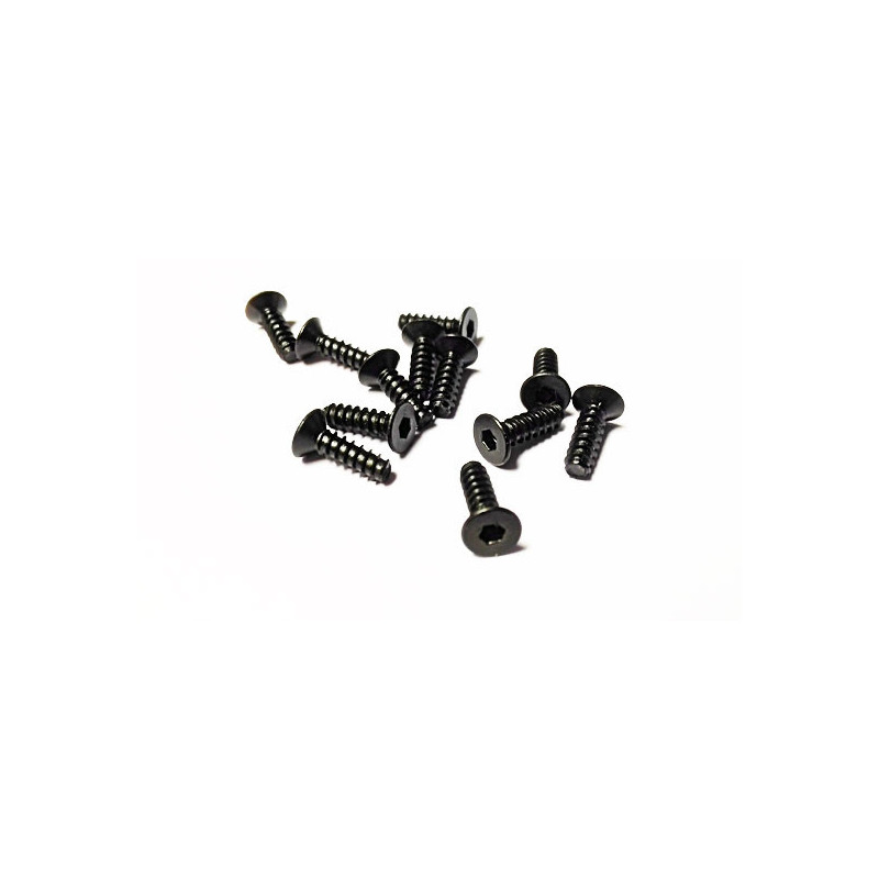 Elektrowagen Room 1/10 FHC M3x10 mm Schraube | Scientific-MHD