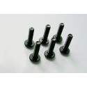 Teil für Elektroauto alle Pfad 1/10 Schraube M3*12 6pcs | Scientific-MHD