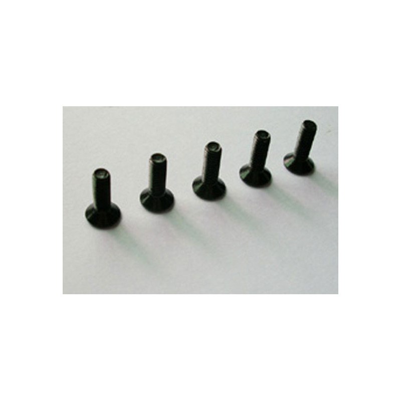 Teil für Elektroauto All Path 1/10 Flachschraube M3*10 6pcs | Scientific-MHD