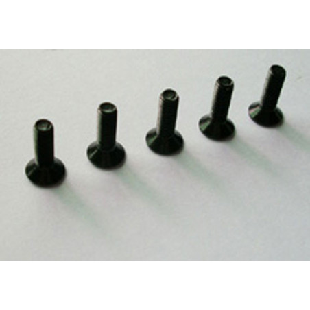 Teil für Elektroauto All Path 1/10 Flachschraube M3*10 6pcs | Scientific-MHD Teil für Elektroauto All Path 1/10 Flachschraube M3*10 6pcs | Scientific-MHD