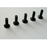 Teil für Elektroauto All Path 1/10 Flachschraube M3*10 6pcs | Scientific-MHD
