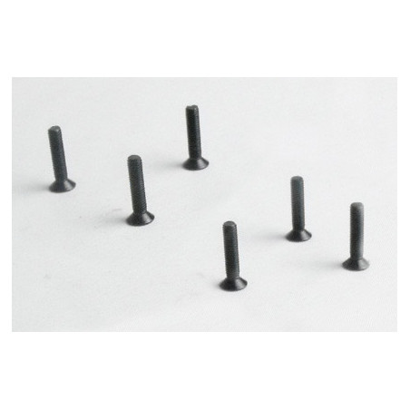 Teil für Elektroauto All Path 1/10 Flachschraube M3*14 6pcs | Scientific-MHD Teil für Elektroauto All Path 1/10 Flachschraube M3*14 6pcs | Scientific-MHD