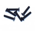 Elektroauto Raum All Path 1/10 Flachkopfschraube M3x14 (6pcs) | Scientific-MHD