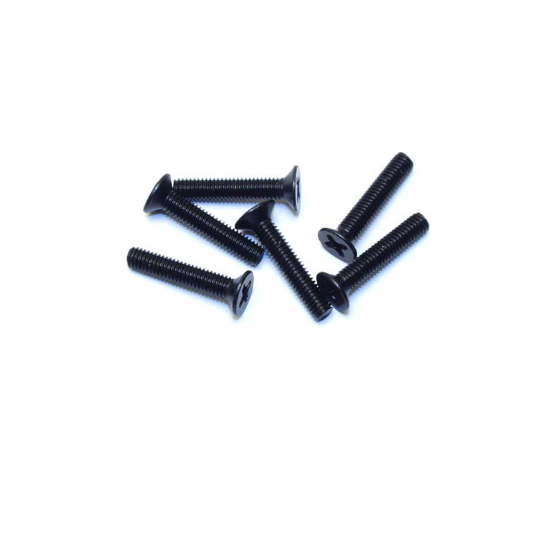 Elektroauto Raum All Path 1/10 Flachkopfschraube M3x14 (6pcs) | Scientific-MHD